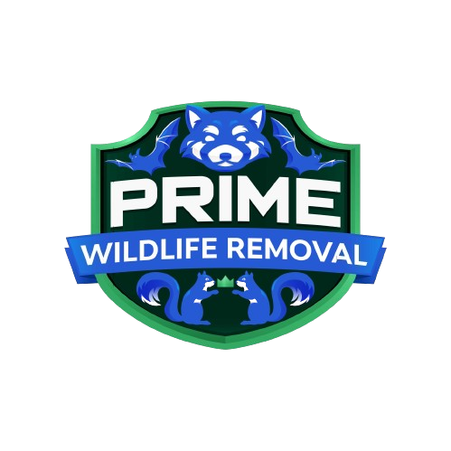 Wildlife Removal Grand Blanc